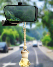 Load image into Gallery viewer, Kiwi Melon Vehicle Air Freshener
